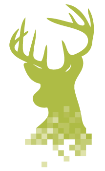 Tealey Minerals Logo